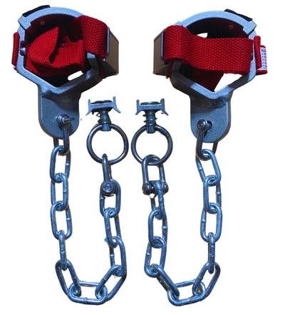 ECO Cinch Street (L-Track) Fits all size bikes!
